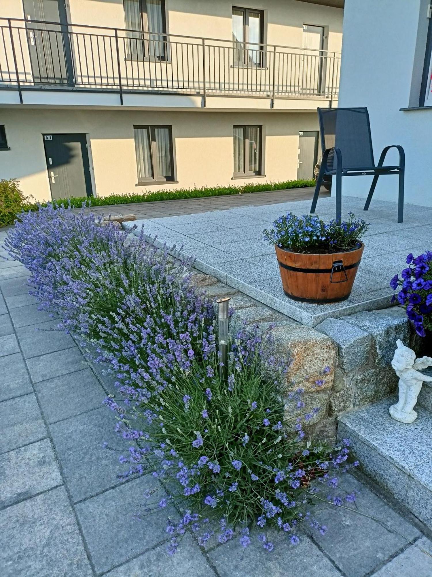 מילנקו Apartamenty Jasienczyk מראה חיצוני תמונה